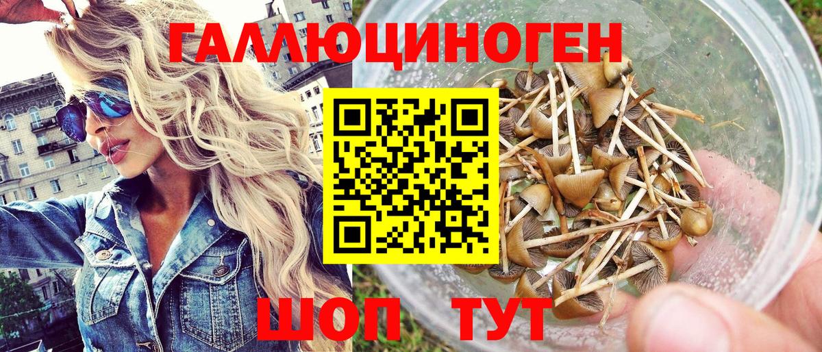 Шадринск  Псилоцибиновые грибы мухоморы  Вход с VPN 